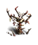Hexenbildnis